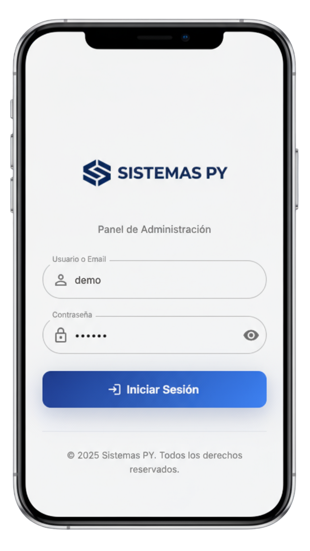 Equipo de Sistemas Py trabajando en aplicaciones web